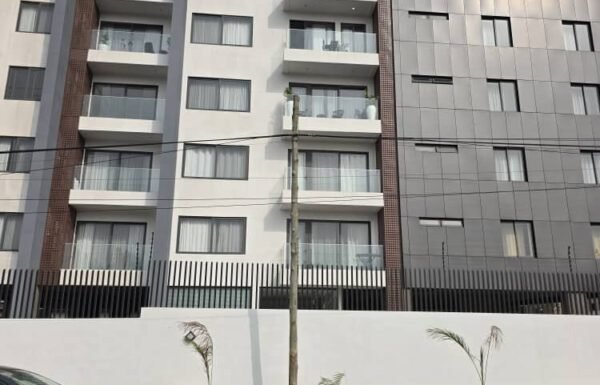 PHOTO-2026-01-15-15-25-17 3