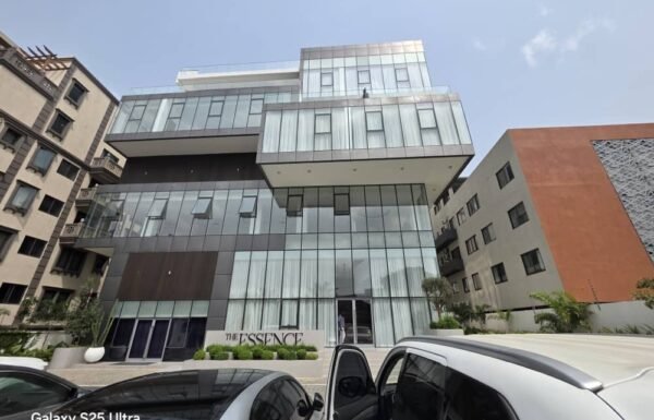 PHOTO-2026-01-16-11-02-59 2