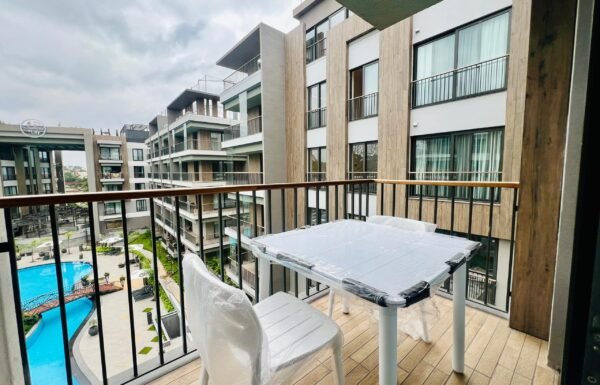 PHOTO-2026-01-24-14-39-35 3