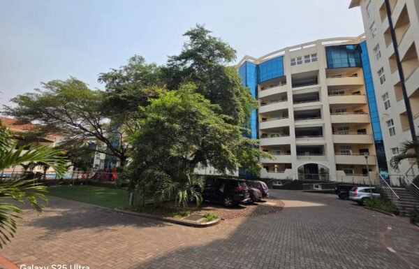 PHOTO-2026-01-28-14-01-52