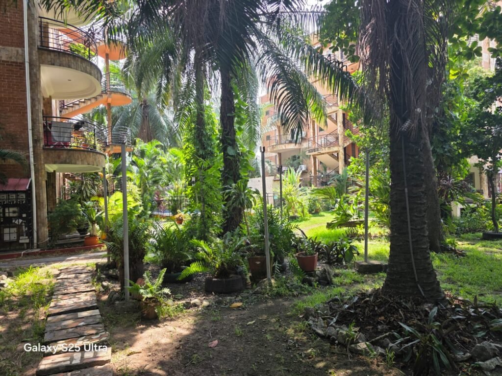 PHOTO-2026-01-07-13-22-57