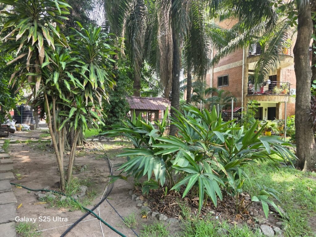 PHOTO-2026-01-07-13-23-04