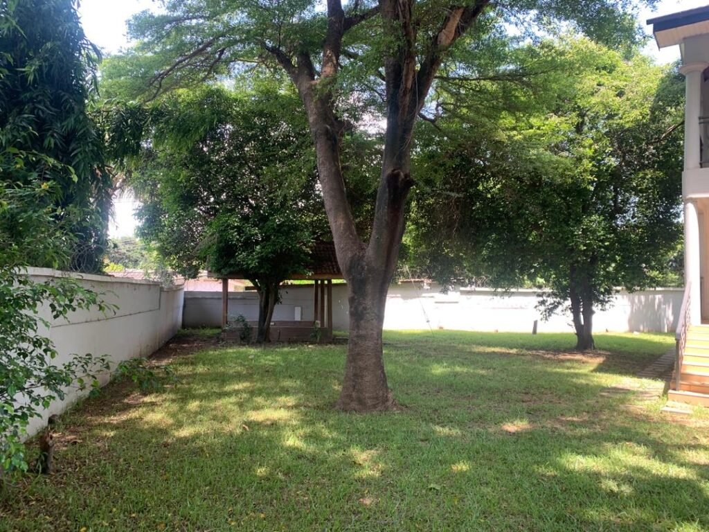 WhatsApp Image 2025-08-19 at 7.36.19 PM (1)