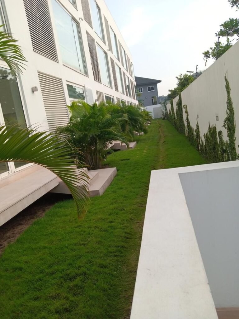 WhatsApp Image 2025-08-25 at 12.05.14 PM