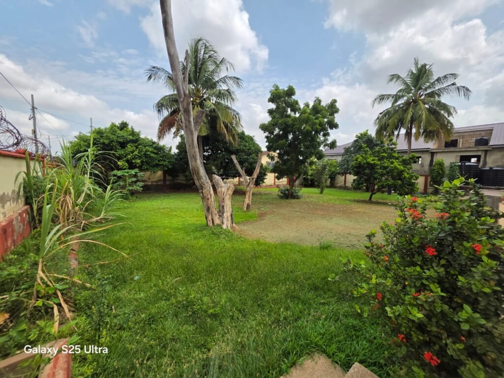 WhatsApp Image 2026-04-01 at 2.49.05 PM