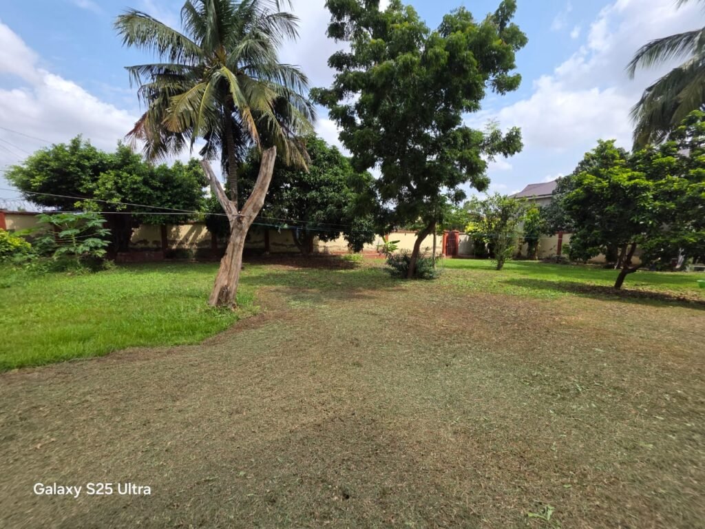 WhatsApp Image 2026-04-01 at 2.49.09 PM