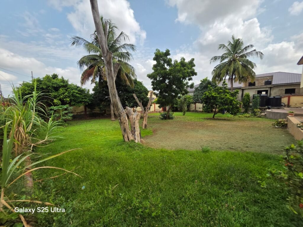 WhatsApp Image 2026-04-01 at 2.49.10 PM