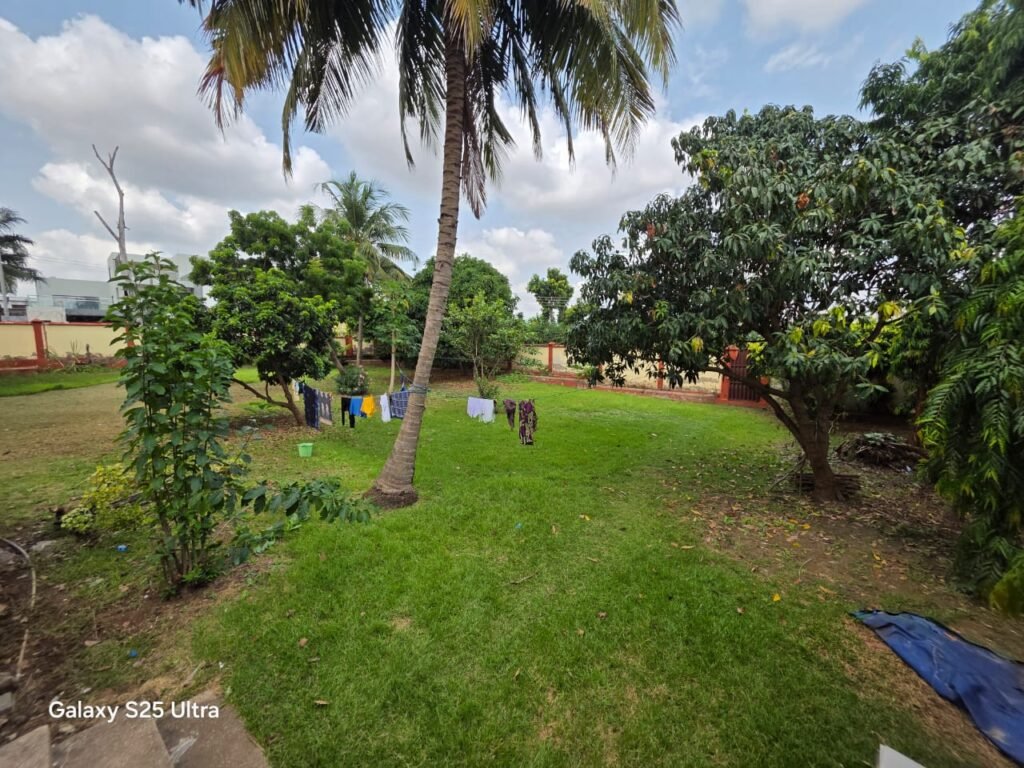 WhatsApp Image 2026-04-01 at 2.49.39 PM