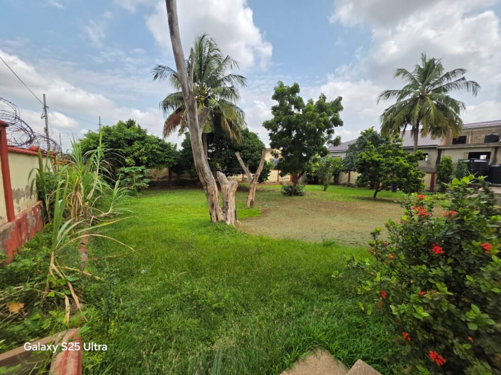 WhatsApp Image 2026-04-01 at 2.49.41 PM