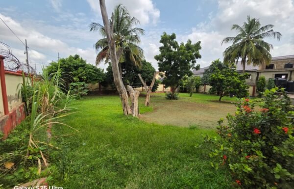 WhatsApp Image 2026-04-01 at 2.49.41 PM